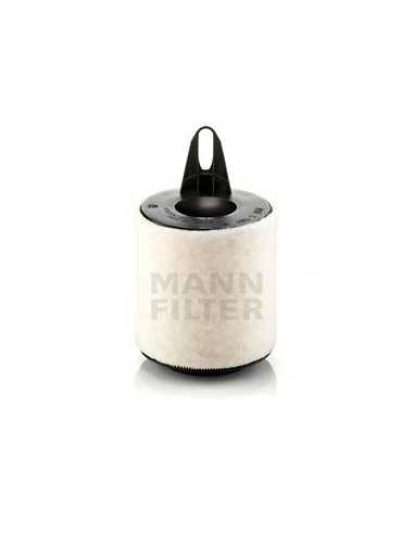 C1361 AIGF