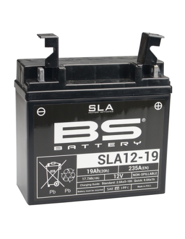 Batería BS Battery SLA 12-19 (BCP18-12) (FA) - 12 V/18