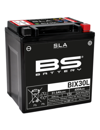 Batería BS Battery SLA BIX30L (FA) - YIX30L - 12 V/30