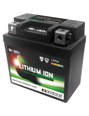 Bateria de litio Skyrich LFP01 (Impermeable + indicador de carga) - 12 V/10
