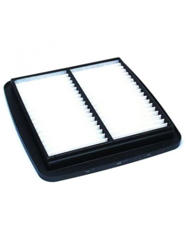 Filtro de Aire Hiflofiltro HFA3601. 824225121001