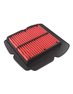 Filtro de Aire Hiflofiltro HFA3612. 824225122008