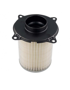Filtro de Aire Hiflofiltro HFA3803. 824225121650
