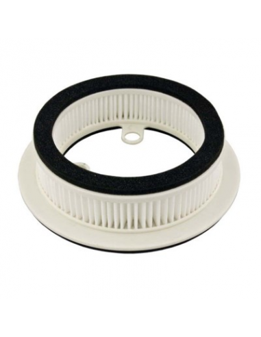 Filtro de Aire Hiflofiltro HFA4506. 824225122152