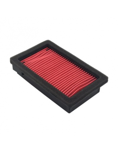 Filtro de Aire Hiflofiltro HFA4801. 824225122510