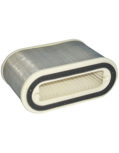 Filtro de Aire Hiflofiltro HFA4910. 824225121612