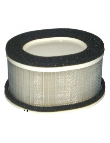 Filtro de Aire Hiflofiltro HFA4911. 824225121810