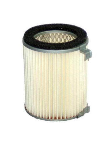 Filtro de Aire Hiflofiltro HFA3905. 824225121216