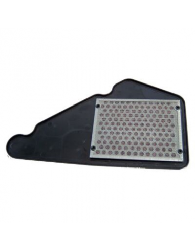 Filtro de Aire Hiflofiltro HFA1608. 824225120349