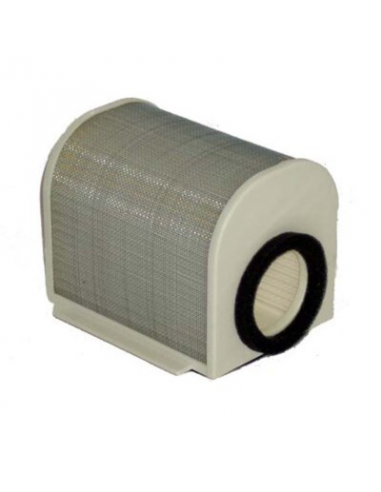 Filtro de Aire Hiflofiltro HFA4906. 824225121551