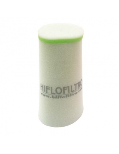 Filtro de Aire Hiflofiltro HFF4021. 824225130638