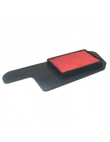 Filtro de Aire Hiflofiltro HFA1211. 824225121711