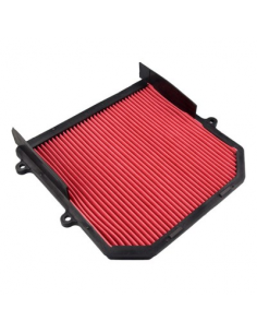 Filtro de Aire Hiflofiltro HFA1922. 824225121841