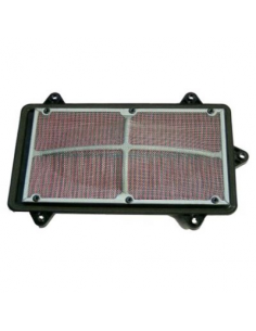 Filtro de Aire Hiflofiltro HFA3903. 824225121193