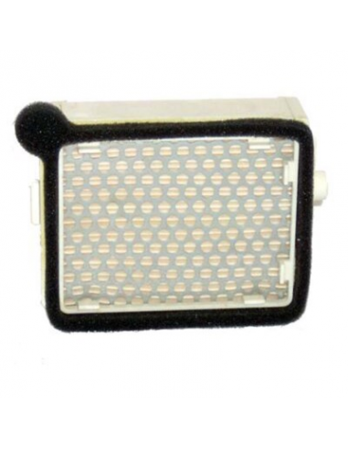 Filtro de Aire Hiflofiltro HFA4602. 824225121346