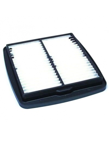 Filtro de Aire Hiflofiltro HFA3605. 824225121049