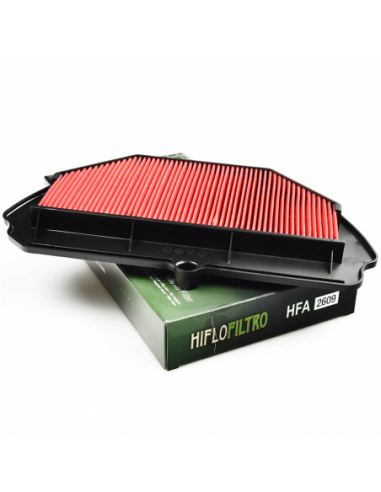 Filtro de aire Hiflofiltro HFA2609. 824225123807