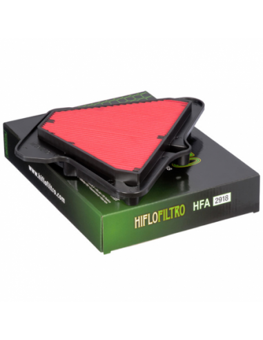 Filtro de aire Hiflofiltro HFA2918. 824225123616