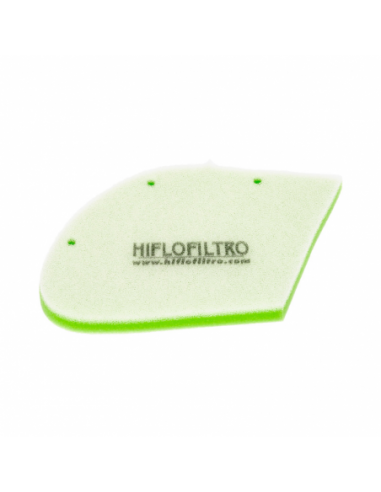 Filtro de aire Hiflofiltro HFA5009DS. 824225123289