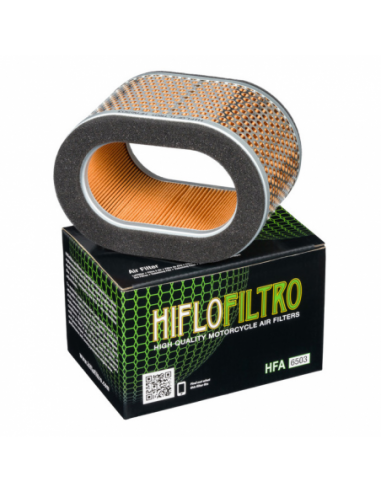 Filtro de aire Hiflofiltro HFA6503. 824225123951