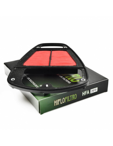 Filtro de aire Hiflofiltro HFA2919. 824225123838