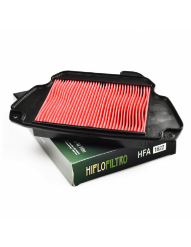 Filtro de aire Hiflofiltro HFA1622. 824225123753