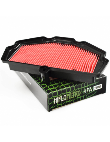 Filtro de aire Hiflofiltro HFA2610. 824225123814