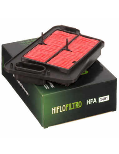 Filtro de aire Hiflofiltro HFA3401. 824225122671