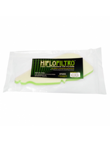 Filtro de aire Hiflofiltro HFA5206DS. 824225123579