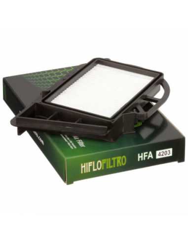 Filtro de aire de cárter Hiflofiltro HFA4203. 824225122718