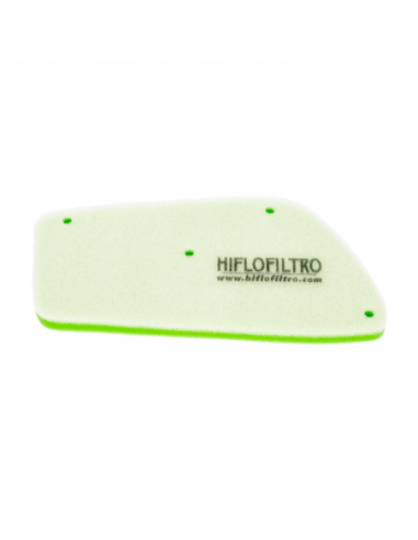 Filtro de aire Hiflofiltro HFA1004DS. 824225123203