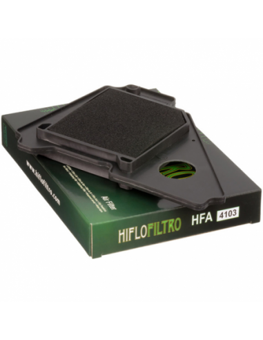 Filtro de aire Hiflofiltro HFA4103. 824225122695