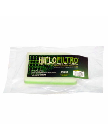 Filtro de aire Hiflofiltro HFA6104DS. 824225123531