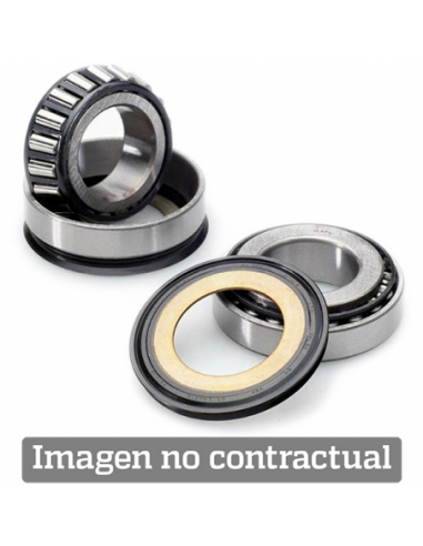 Kit rodamientos de columna All Balls 22-1002. 22-1002. 8430525170599