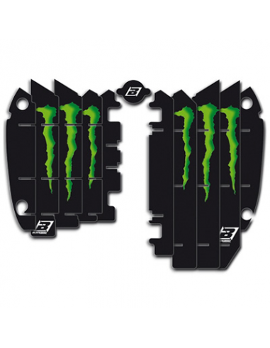 Adhesivos para rejillas de radiador Blackbird Réplica Kawasaki Monster A402R6. A402R6. 8430525479340