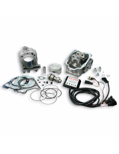 Kit completo Malossi 3116268 I-TECH 4T 218cc + árbol de levas + culata. 3116268. 8430525217713