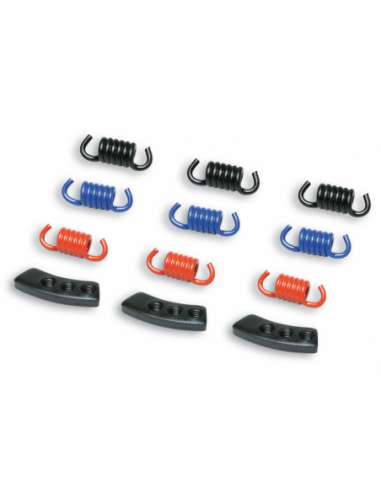 SET 9 muelles MHR Malossi para FLY o DELTA CLUTCH Negro/Blue/Rojo 29 8747. 29 8747. 8430525609662