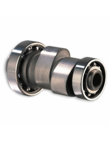 Árbol de levas Malossi POWER CAM 5911517 Yamaha maxiscooter 250. 5911517. 8430525894396