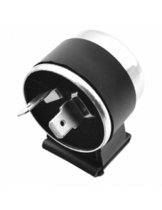 Relé 12V / 21W / 2 Polos. 413. 8430525211537