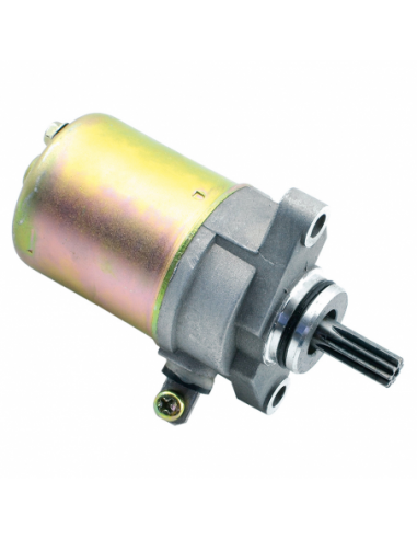 Motor de Arranque Scarabeo/Aerox/BWs 100. LBM006. 8430525156180