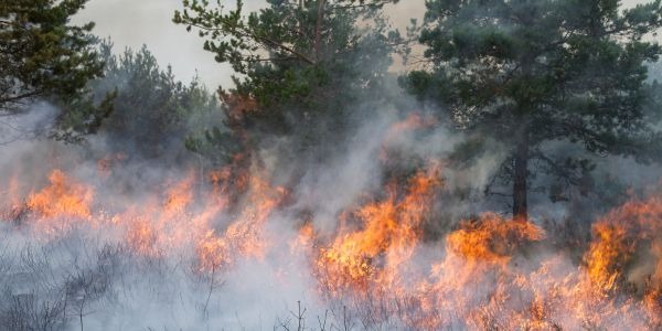 Incendios en la carretera: precauciones imprescindibles para motoristas